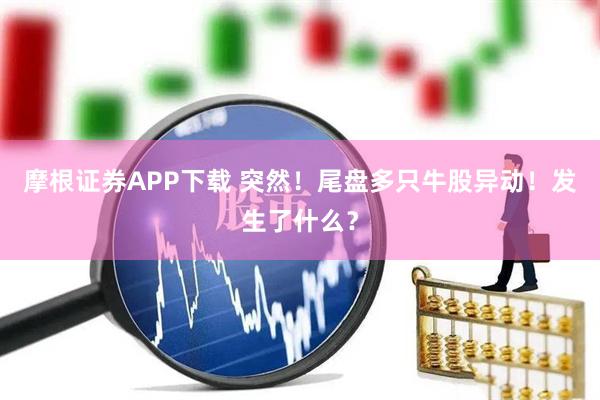 摩根证券APP下载 突然！尾盘多只牛股异动！发生了什么？